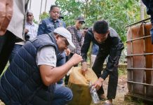 83 Sumur Minyak Masyarakat di Bireuen Diverifikasi, Bupati Mukhlis Dorong Legalitas Tanpa Matikan Ekonomi Warga