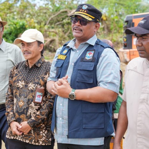 Pidie Jadi Pilot Project, 95 Hektare Sawah Rusak Berat Ditargetkan Rampung 30 Hari