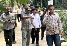 Kadistanbun Bireuen Bersama Tenaga Ahli Menteri Pertanian Tinjau Rehabilitasi Irigasi Tersier di Panton Geulima