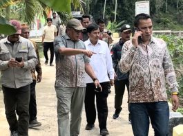 Kadistanbun Bireuen Bersama Tenaga Ahli Menteri Pertanian Tinjau Rehabilitasi Irigasi Tersier di Panton Geulima