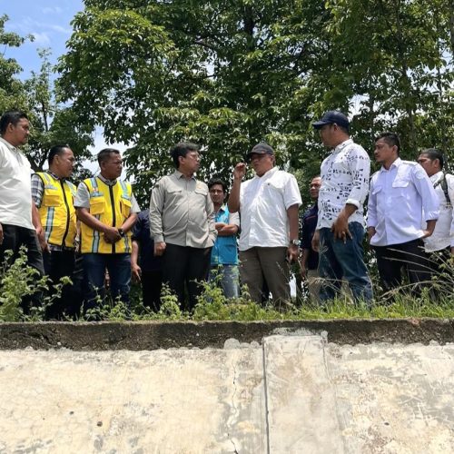 Sinkronisasi Program Kementan dan Kementerian PU, Tenaga Ahli Menteri Pertanian Turun ke Bireuen