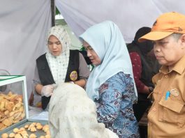 Pameran UMKM dan Kuliner HUT Ke-27 Kabupaten Bireuen, Stand Kecamatan Pandrah Disesaki Pengunjung