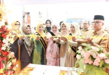 Semarak HUT ke-27 Bireuen, Festival Literasi Jadi Momentum Bangun SDM Berkualitas