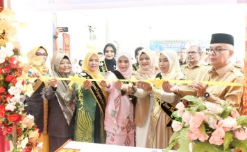 Semarak HUT ke-27 Bireuen, Festival Literasi Jadi Momentum Bangun SDM Berkualitas