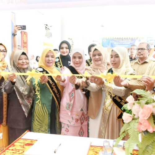 Semarak HUT ke-27 Bireuen, Festival Literasi Jadi Momentum Bangun SDM Berkualitas