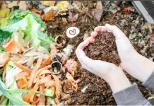 Dari Dapur Sendiri: Langkah Sederhana Mengurai Sampah Rumah Tangga dengan Bioremediasi