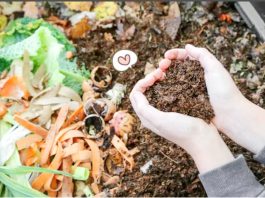 Dari Dapur Sendiri: Langkah Sederhana Mengurai Sampah Rumah Tangga dengan Bioremediasi