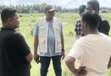 Target Awal November Mulai Tanam Padi, Kadistanbun Bireuen Mulyadi Tinjau Progres Rehabilitasi Sawah di Sejumlah Lokasi