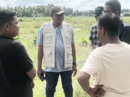 Target Awal November Mulai Tanam Padi, Kadistanbun Bireuen Mulyadi Tinjau Progres Rehabilitasi Sawah di Sejumlah Lokasi