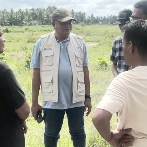 Target Awal November Mulai Tanam Padi, Kadistanbun Bireuen Mulyadi Tinjau Progres Rehabilitasi Sawah di Sejumlah Lokasi